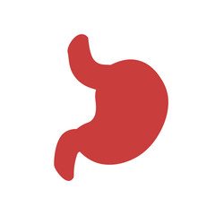 Human stomach. vector illustration.