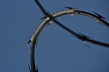 Stay Out, razor wire