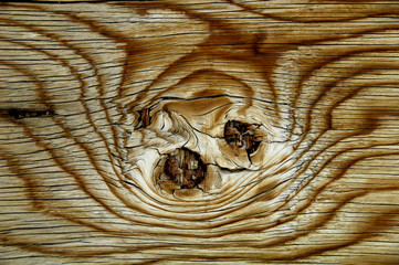 Wood Knot Abstract. Closeup of a knotty portion of plywood 