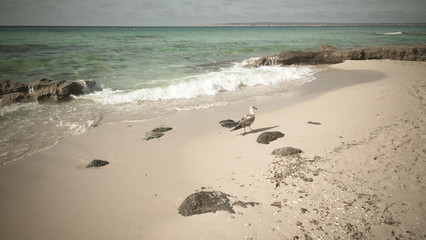 Strand auf Formentera