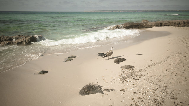 Strand auf Formentera