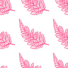 Tropical palm or fern leaves seamless pattern