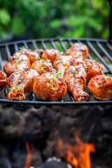 Delicious chicken leg on grill with spices and herbs