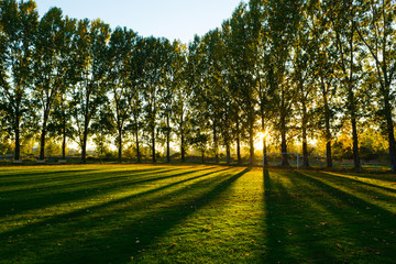 empty football ground at countryside, autumn sunset