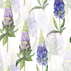 Decorative image of wildflowers. Seamless pattern lupine.