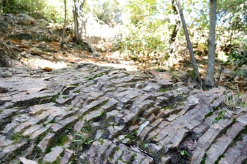 層状チャート/船岡山