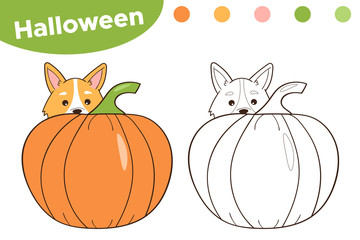 Halloween coloring page for children. Cute cartoon Welsh Corgi dog with pumpkin. Cartoon vector illustration.