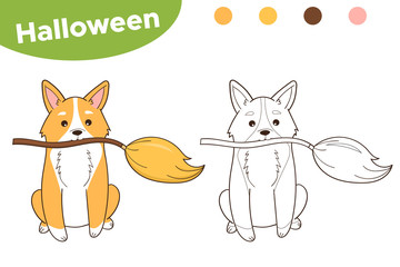 Halloween coloring page for children. Welsh Corgi dog with witch broom.  Cartoon doodle style. Vector illustration