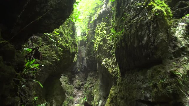 Amazonian karst scenery the "Laberinto de las mil ilusiones", Ecuador. Situated in a remote part of the Nangaritza Valley in southern Ecuador, paths wind between enormous limestone blocks 
