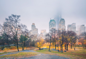 Central park at rainy morning, New York City, USA