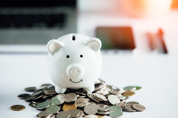saving piggy bank on coin. Saving money Concept