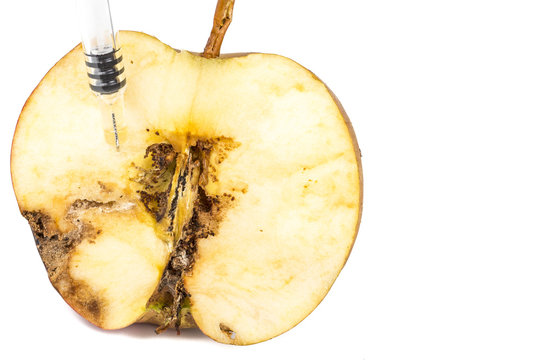 Close up Boring trace of a codling moth Cydia Pomonella, in a half wormy apple. On white background. With syringe. Concept non organic and genetically modified organism