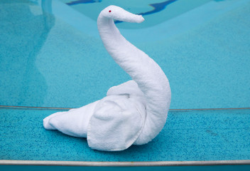 Figures from towels. Swan. On Board the ship near the pool Stuarts staged an exhibition of figures...