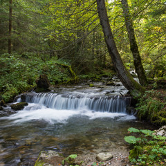 Scenic little waterfall; Western Carpathians, Romania