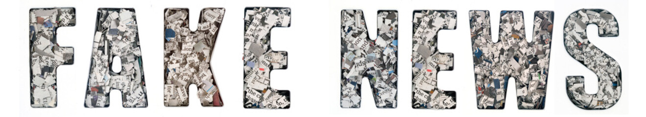 he word   FAKE  NEWS made up of lots of cut up newspaper
