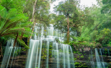 Russell Falls Tasmania Australia