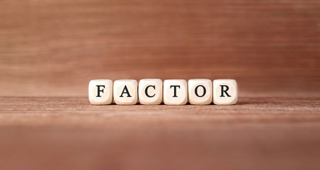 Word FACTOR made with wood building blocks