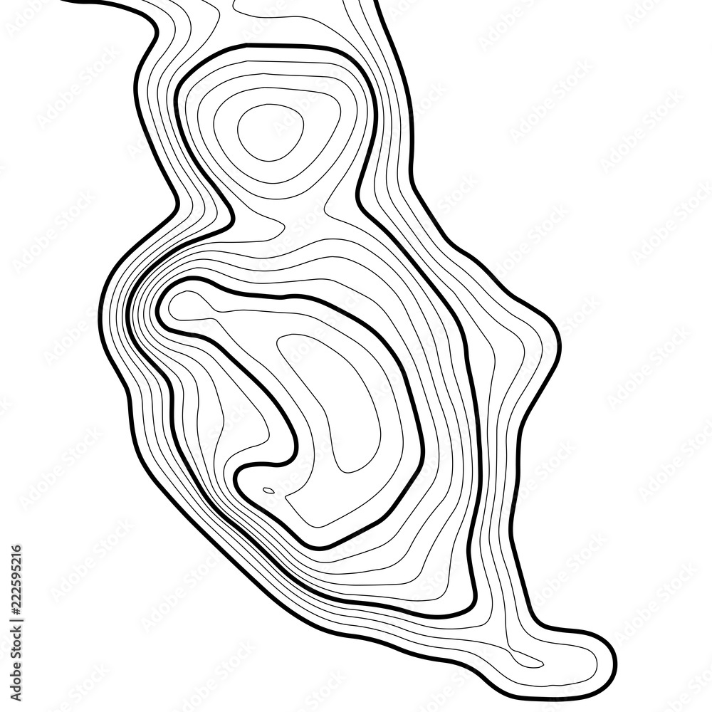 Poster topographic map background. grid map. contour map vector. business concept. abstract vector illustra