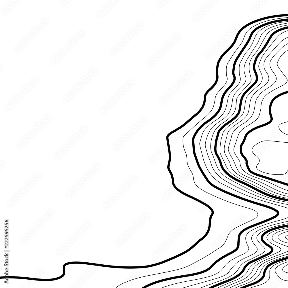 Poster topographic map background. grid map. contour map vector. business concept. abstract vector illustra