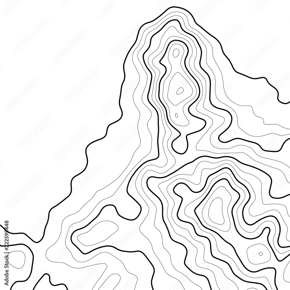 Poster topographic map background. grid map. contour map vector. business concept. abstract vector illustra