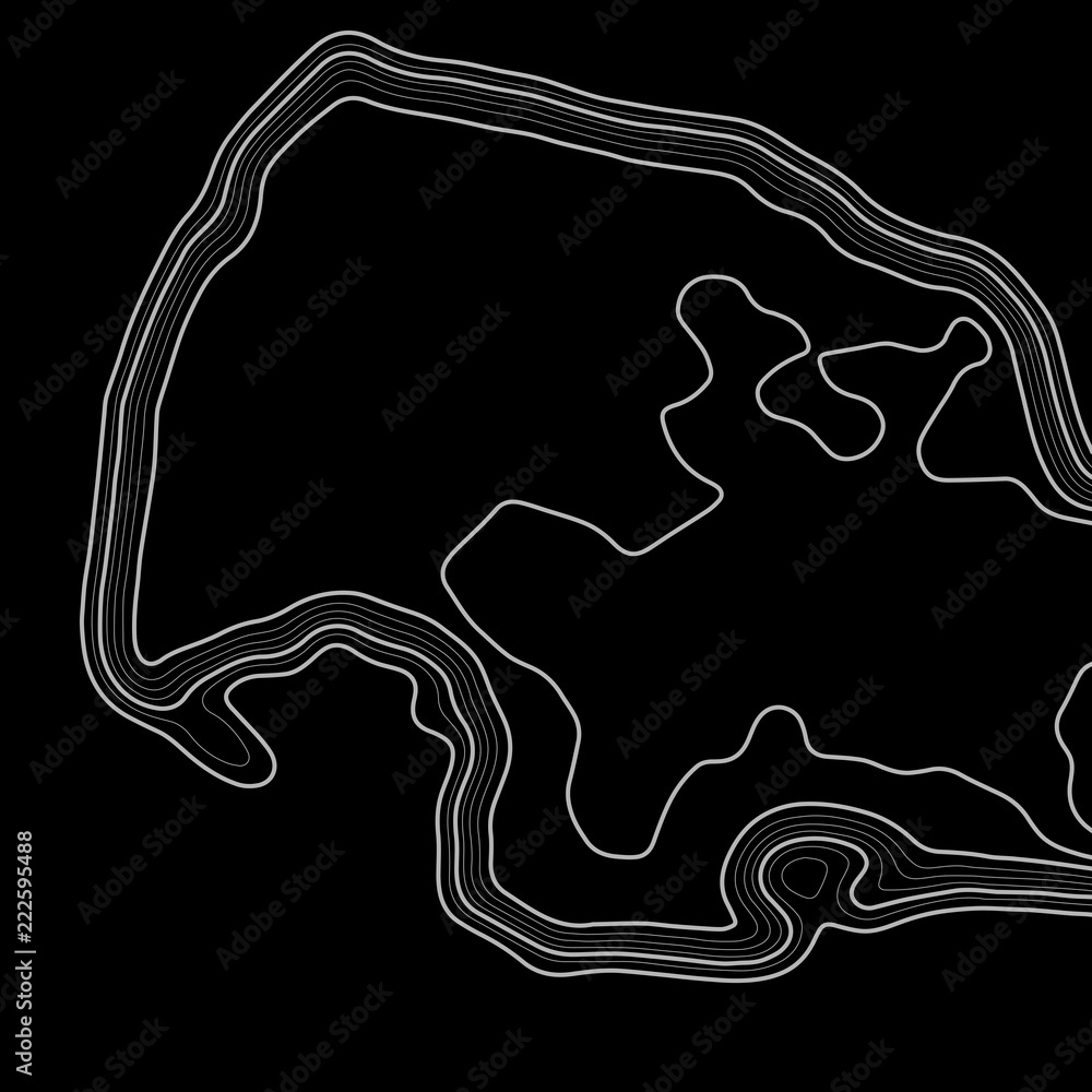 Poster topographic map background. grid map. contour map vector. business concept. abstract vector illustra