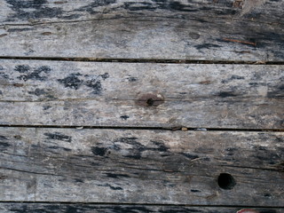 Obraz premium old wood background