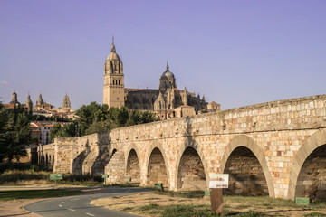 Fototapeta na wymiar Beautiful view of the cathedral of Salamanca and the Roman bridge, Castilla y Leon, Spain