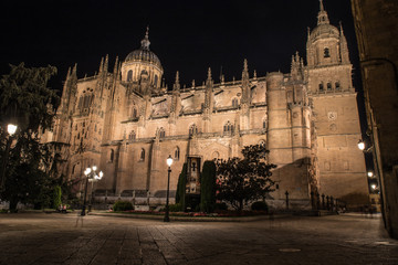 Fototapeta na wymiar Beautiful view of the cathedral of Salamanca, Castilla y Leon, Spain