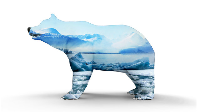 Polar bear with Ice mountain / illustrations