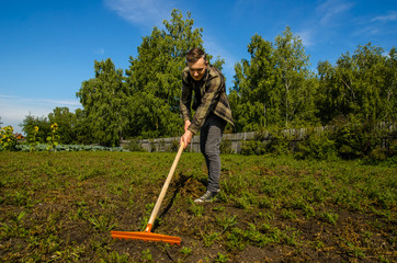 A young guy in the garden removes the beveled grass with a rake on a wooden fence and forest...
