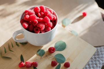 Raspberries in a big white cup. Morning in the kitchen