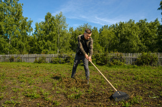 A young gardener in the garden removes the beveled grass with a rake on a wooden fence and forest background.