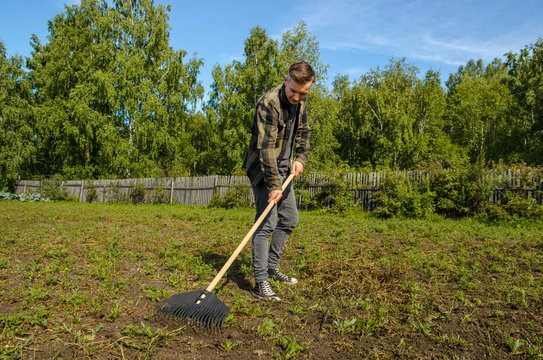 A young man in the garden removes the beveled grass with a rake on a wooden fence and forest background.