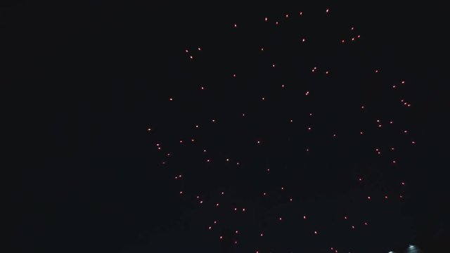 red and blue fireworks in the dark sky .