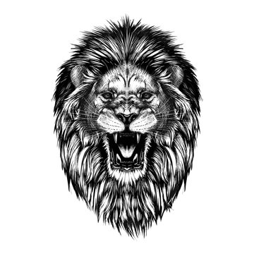 lion roaring outline