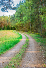 Obraz premium Path along grassland and lush green trees