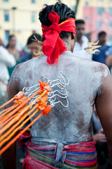 Thaipusam devotee in Penang pierce their backs with large hooks in penance
