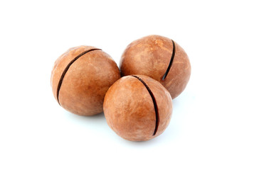 Inshell macadamia nuts isolated.