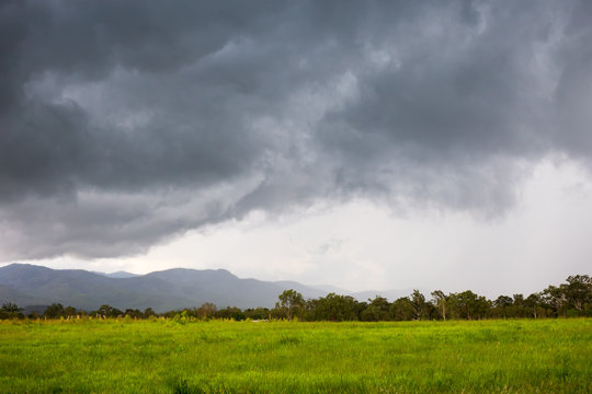 Pasture with hills hidden by rain on the Atherton Tableland in Queensland, Australia