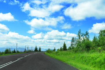 Fototapeta premium Asphalt road in the forest. The sky is visible.