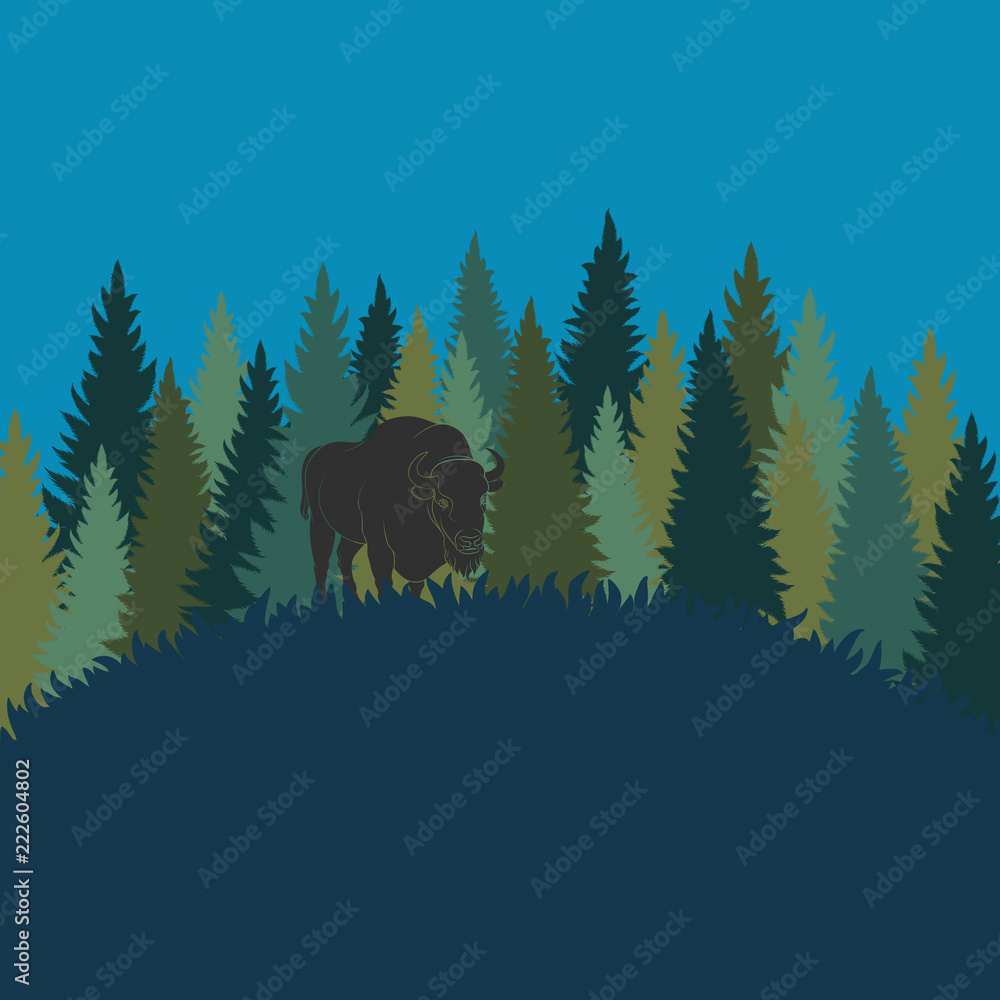 Aufkleber forest landscape with bison and forest of fir trees. vector color background with place for inscript