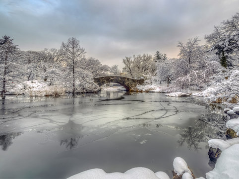 Central Park, New York City in winter