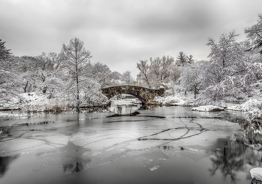 Central Park, New York City in winter