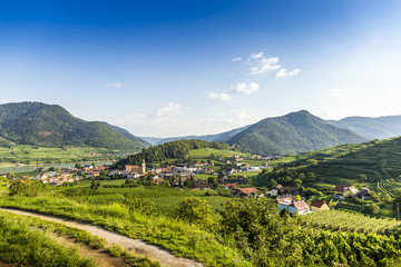 Fototapeta na wymiar Scenic View into the Wachau with the river Danube. Spitz. Austria.