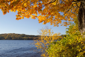 Fall Foliage Background. Vibrant fall color frames the pristine waters of Sable Lake at the...
