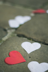 Fototapeta premium Heart petal confetti on the street of Brussels