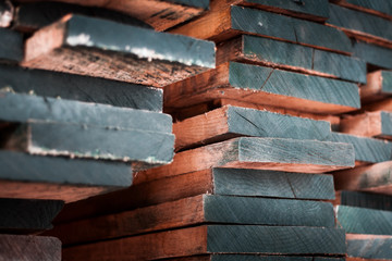 Close up macro shot of premium quality wood planks, pile up in a stack of materials ready for export and sell on European markets.  rady  - obrazy, fototapety, plakaty