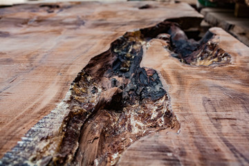 Fossil river, natural canyon formed itself on an ancient Kauri wood plank. This slab is very old.