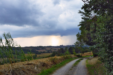 Fototapeta na wymiar veduta panoramica di alcuni angoli del Monferrato, Piemonte, Italia,