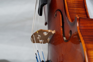 Violine